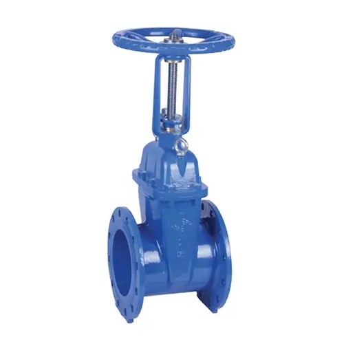 BS 5163 Flanged Resilient Clap Os & Y Gate Valve